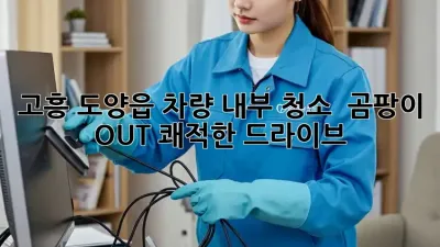 고흥 도양읍 차량 내부 청소 ✨ 곰팡이 OUT! 쾌적한 드라이브🚘